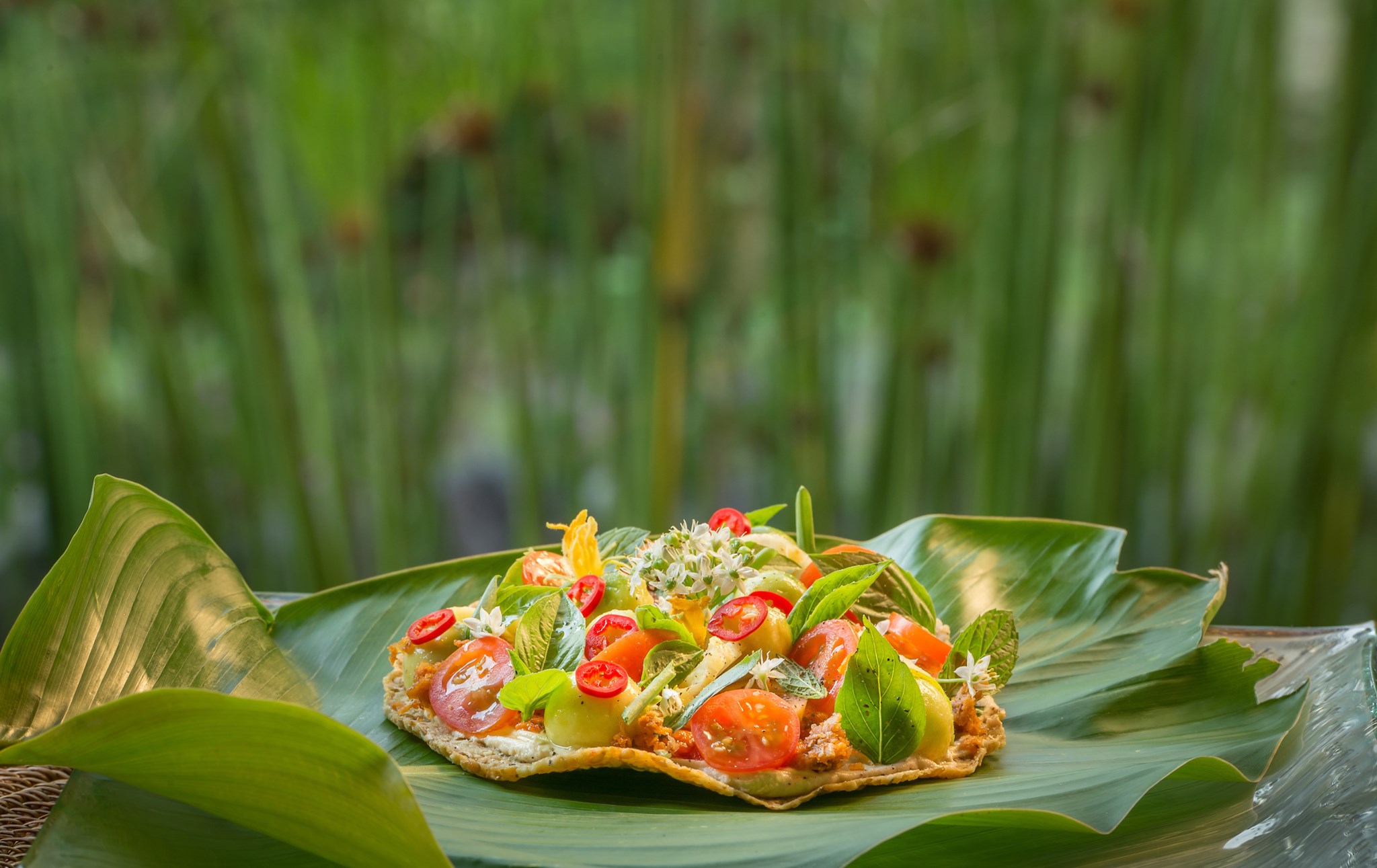 plant-based cuisine fivelements habitat