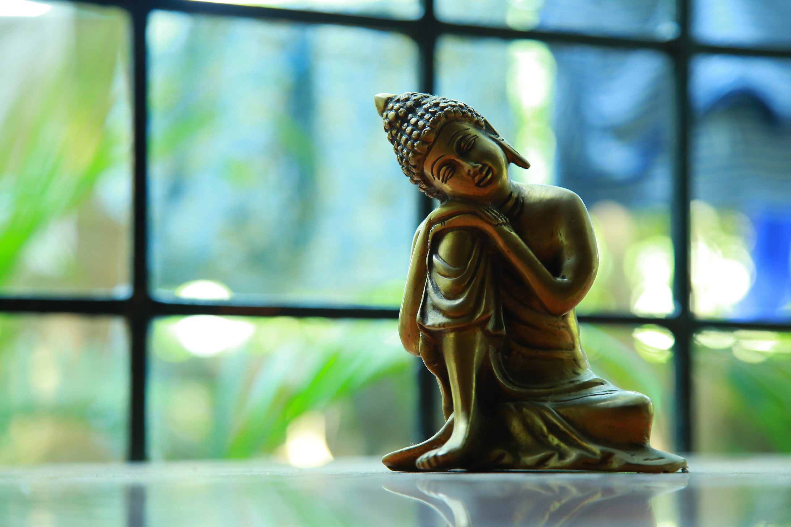 buddha birthday fivelements habitat hong kong