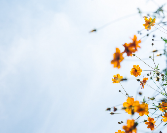 Healthy HKG Frequency Healing Spa Hong Kong