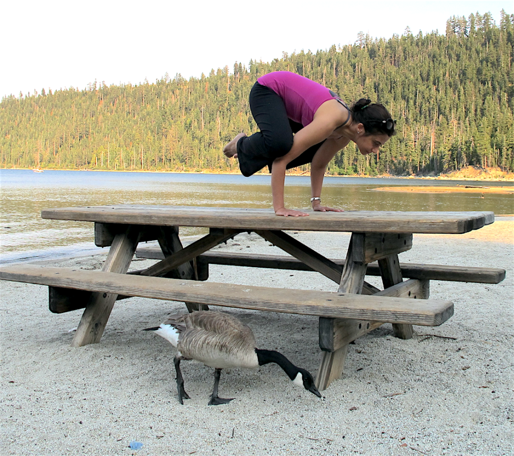 hema-of-yoga-room-for-healthy-hkg